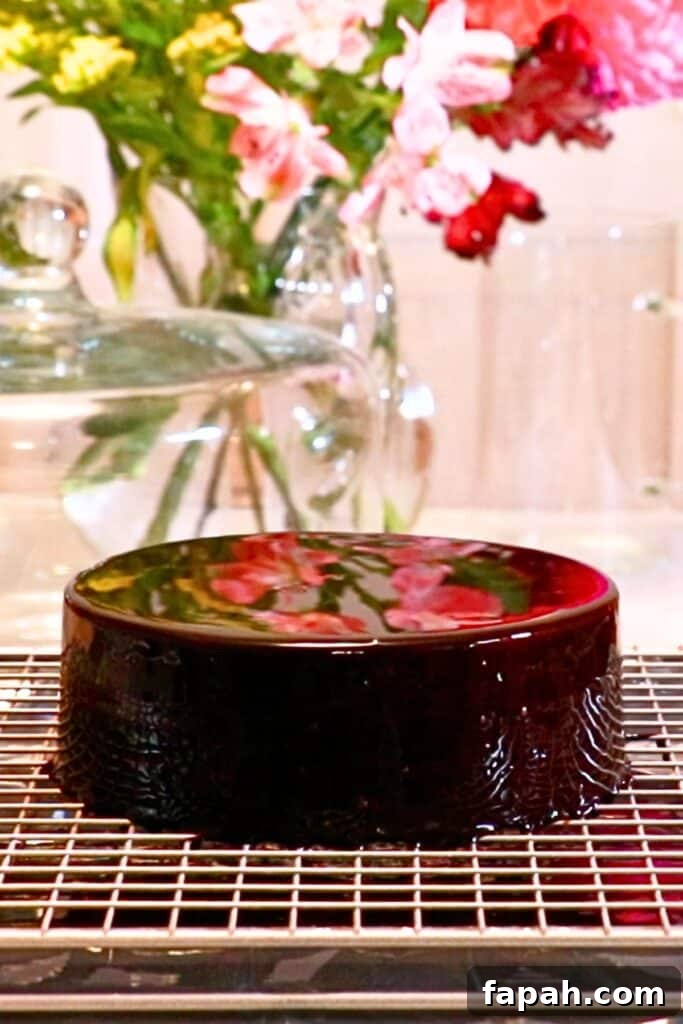 Decadent Chocolate Mousse Recipe for Silky, Airy Dessert 21 a chocolate mousse cake glazed with mirror glaze