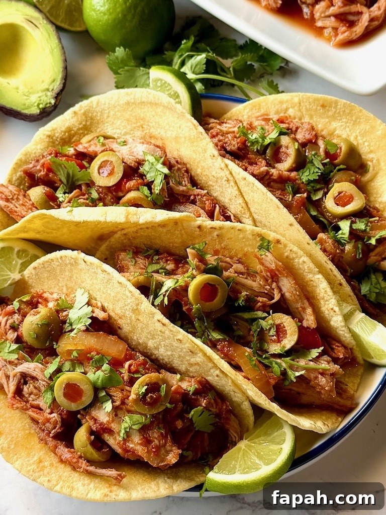 Spanish pulled pork shredded in tacos.