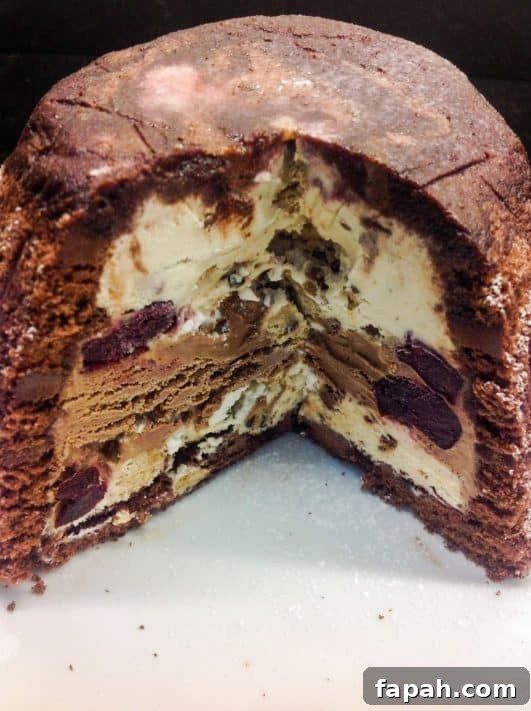 Chocolate Ice Cream Cake
