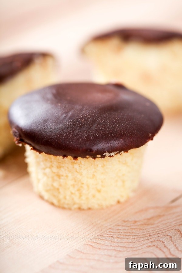 a vanilla cupcake topped with shiny chocolate ganache.
