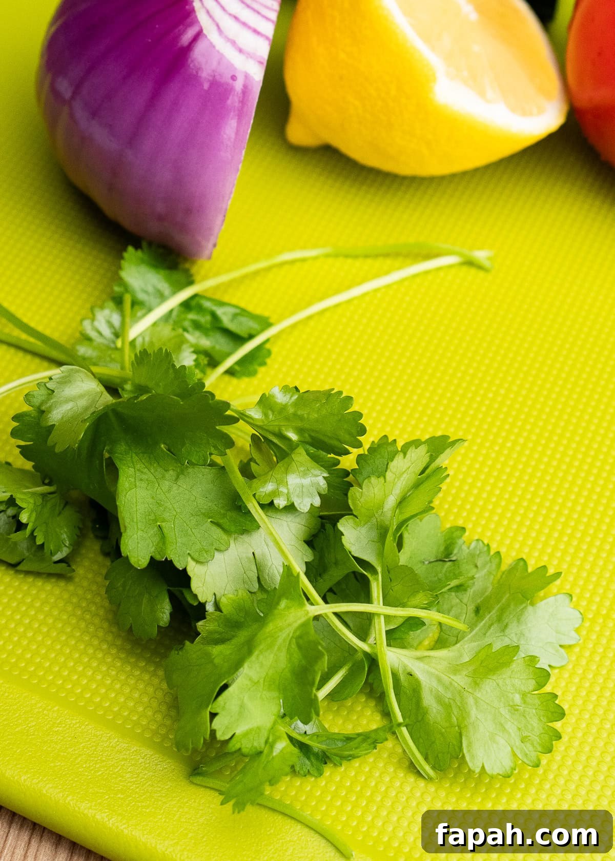 Fresh coriander on a chopping board