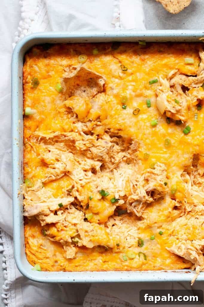healthy buffalo chicken dip made with Greek yogurt