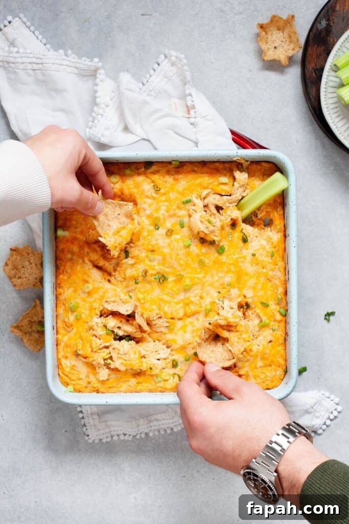 dipping tortilla chips into healthy cheesy buffalo chicken dip