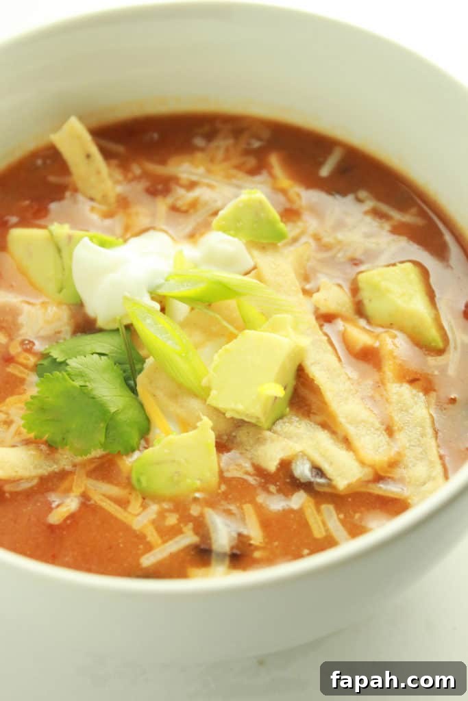 7 Pantry and Freezer Staples for Quick Back-to-School Dinners 13 img 2219 12