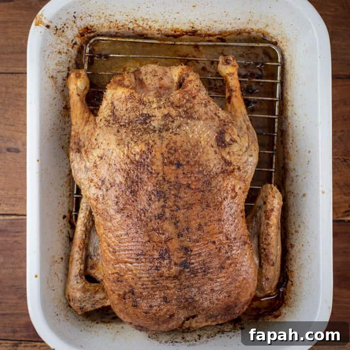 crispy roast duck in white enamel baking dish on wooden table