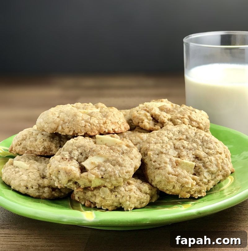 Chewy Vegan Apple Oatmeal Cookies With Cinnamon 2 Vegan Chewy Apple Oatmeal Cookies