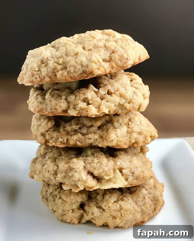 Chewy Vegan Apple Oatmeal Cookies With Cinnamon 3 Vegan Chewy Oatmeal Apple Cookies