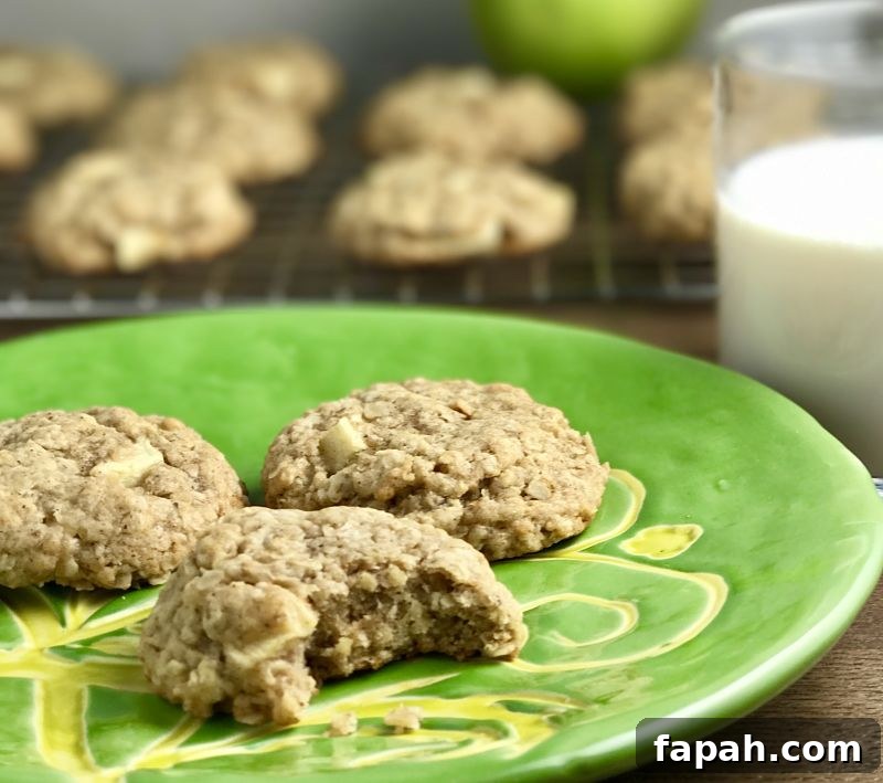 Chewy Vegan Apple Oatmeal Cookies With Cinnamon 4 Vegan Chewy Apple Oatmeal Cookies