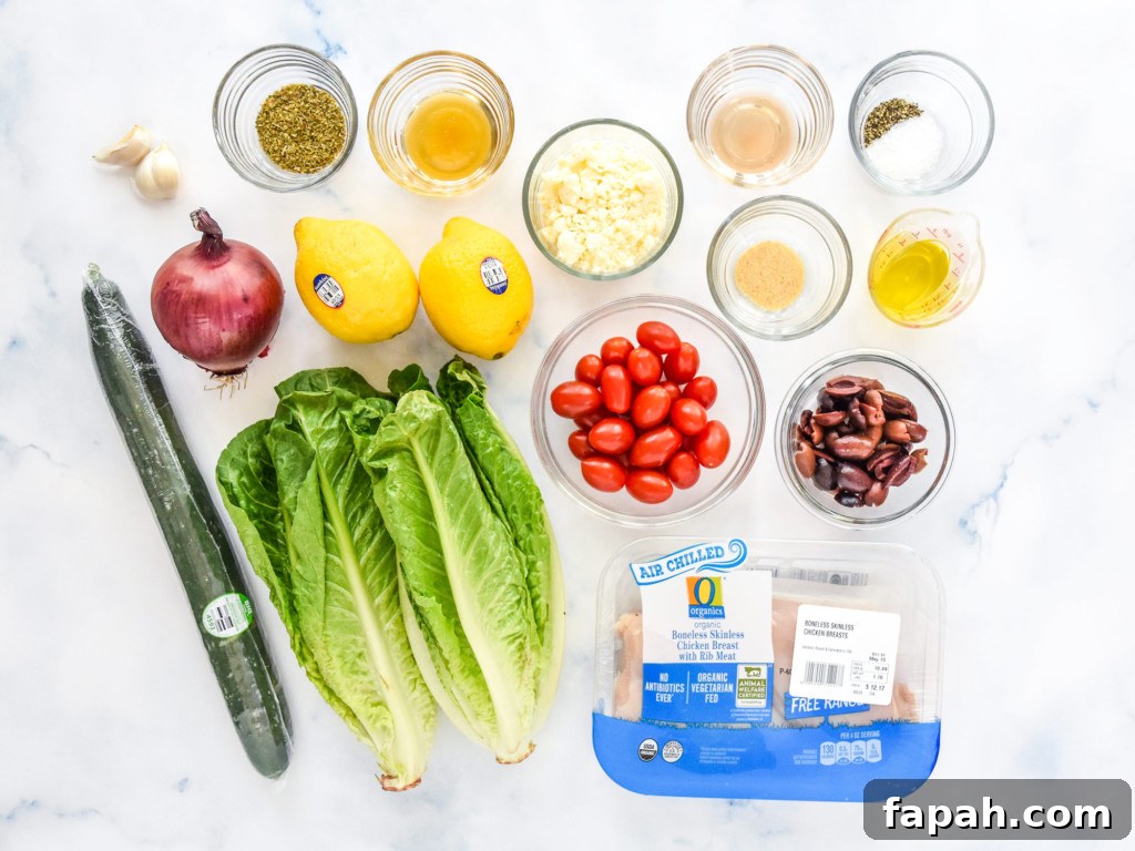 ingredients for the greek chicken meal prep before starting the recipe.