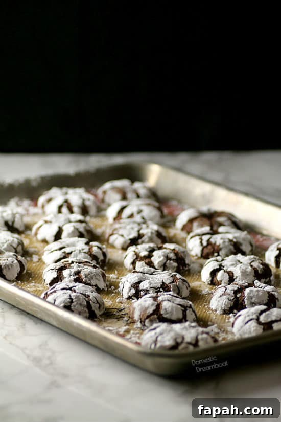 Three Chocolate Crinkle Cookie Recipes: Classic, Mint, and Espresso 2 Chocolate Crinkle Cookies - Domestic Dreamboat #cookies #christmas #chocolate