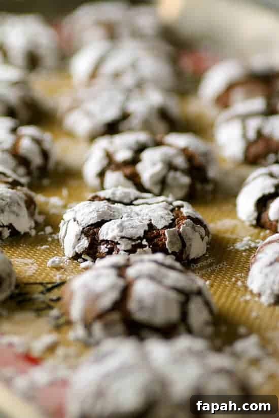 Three Chocolate Crinkle Cookie Recipes: Classic, Mint, and Espresso 3 Chocolate Crinkle Cookies - Domestic Dreamboat #cookies #christmas #chocolate