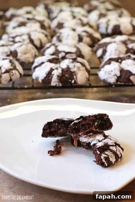 Three Chocolate Crinkle Cookie Recipes: Classic, Mint, and Espresso 4 Chocolate Crinkle Cookies - Domestic Dreamboat #dairyfree #cookies #Christmas