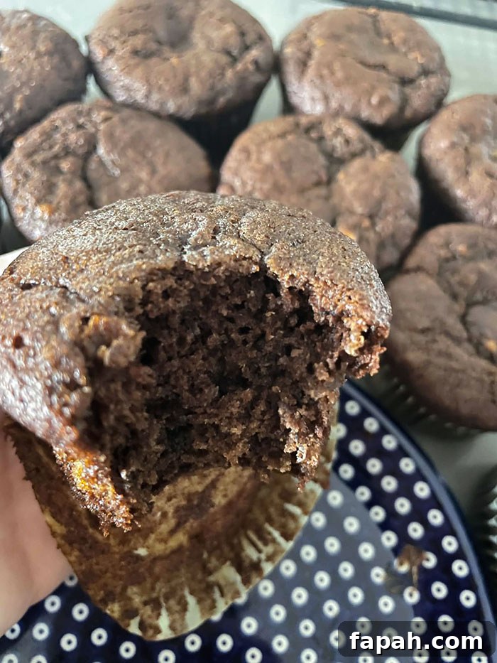 A chocolate banana muffin with a bite taken out and the muffin paper partially peeled down held above a round dark blue and white polka-dotted Polish pottery plate and more chocolate banana muffins in the background.