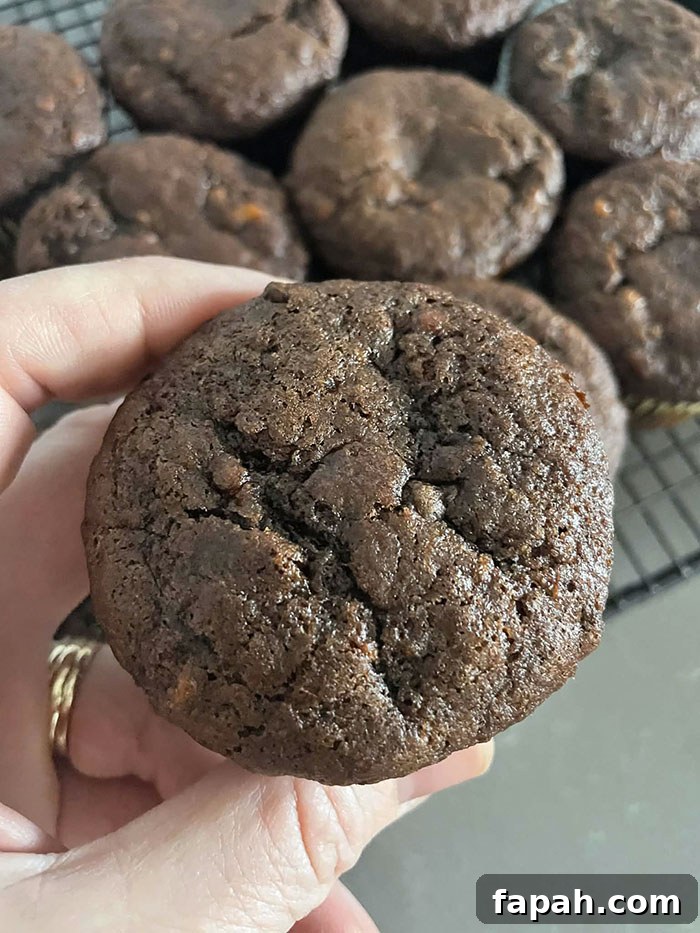 A double chocolate banana muffin held above a cooling rack filled with double chocolate banana muffins.