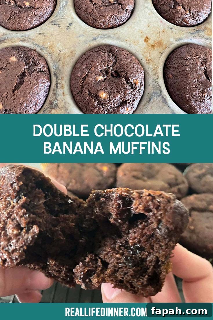 Two-photo Pinterest picture with the text of the title in the middle, separating the two photos.