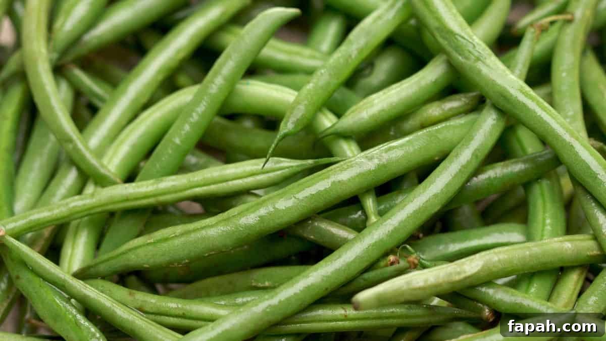 Top In-Season Foods to Buy in June for Fresh Grocery Picks 12 green bean