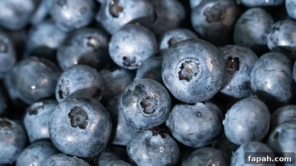 Top In-Season Foods to Buy in June for Fresh Grocery Picks 4 blueberries