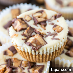 Mini Snickers Cheesecakes: Bite-Sized Candy Bar Desserts 7 A close-up of a mini snickers cheesecake cupcake in a paper liner, topped with chunks of chocolate and caramel candy pieces. More mini snickers cheesecakes are visible in the blurred background.