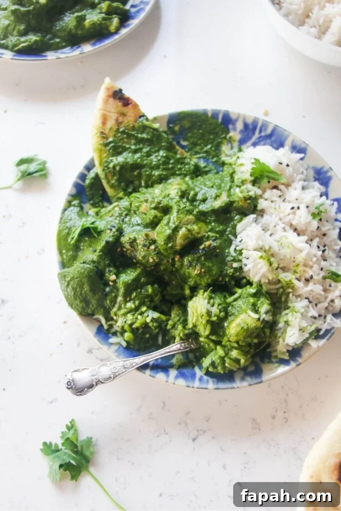 Chicken saag in with rice and naan on a white and blue plate.