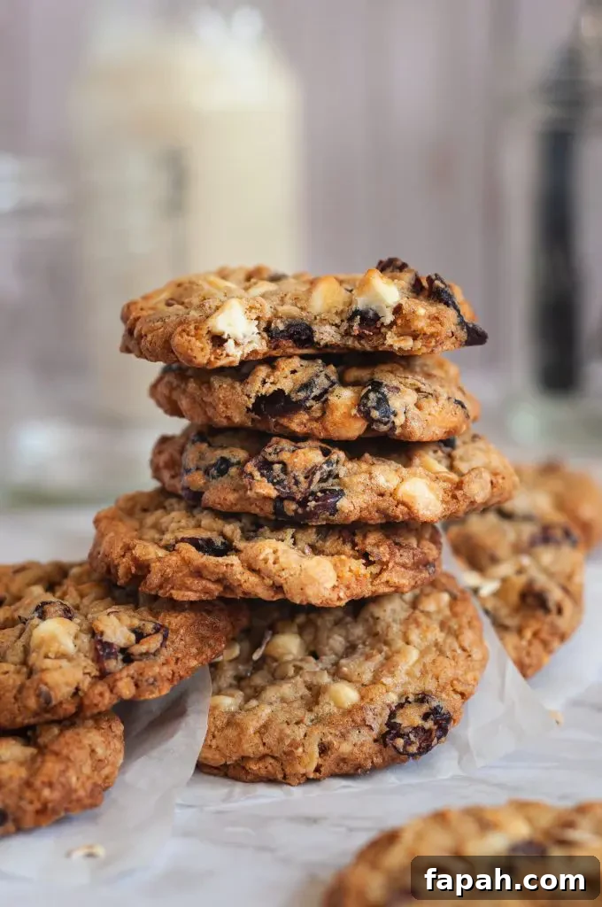 A messy short stack of oatmeal cookies on a piece of white parchment paper full of dried cherries and white chocolate chips.