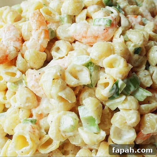 Closeup of shrimp macaroni salad