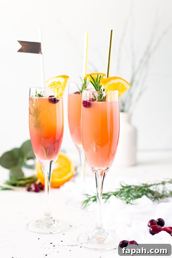 This Cranberry Orange Mimosa is the perfect cocktail for winter brunch! Made with cranberry and orange juice and champagne it's a fruity drink that you can serve up for Christmas or New Year's Eve or any other weekend celebration!