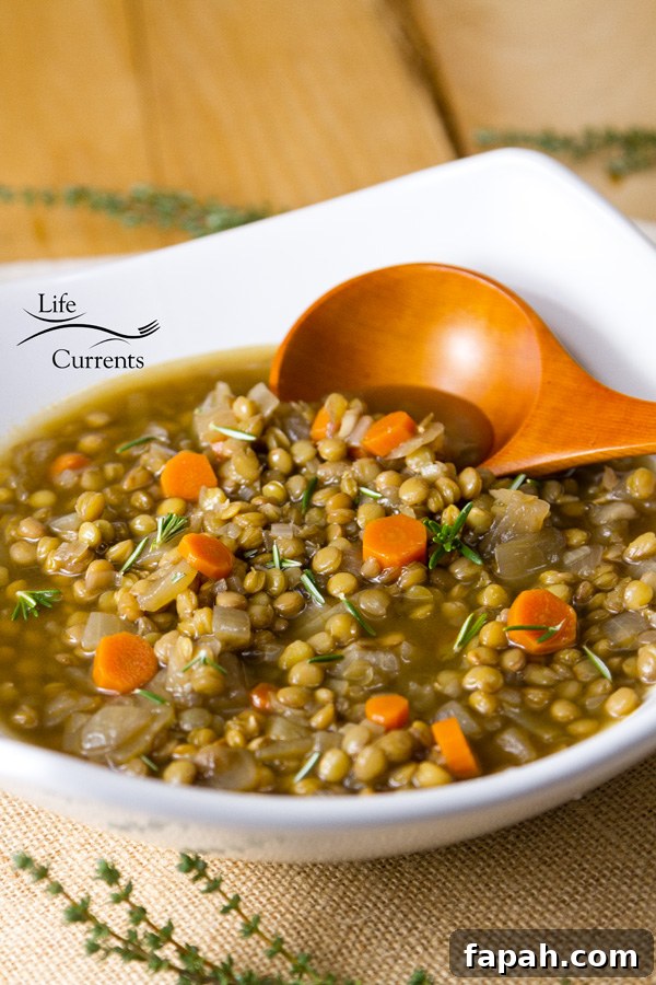 Homemade lentil soup is more nutritious and flavorful than store-bought soups. It’s also low fat, and full of veggies and flavor. Homemade lentil soup is more nutritious and flavorful than store-bought soups. It’s also low fat, and full of veggies and flavor.