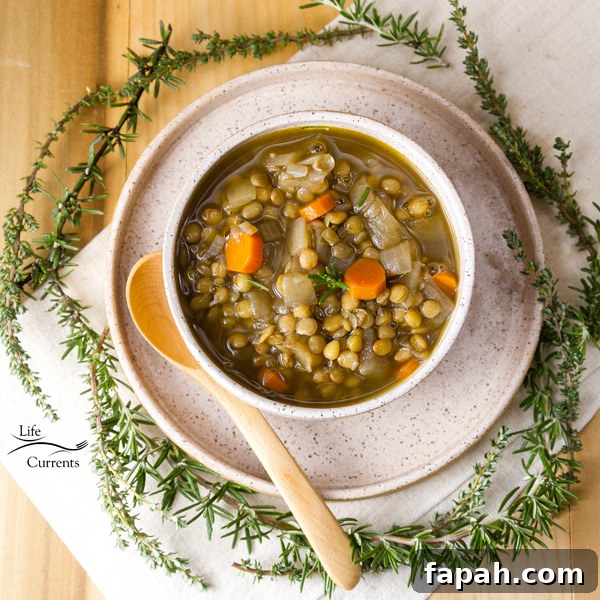 This Lentil Soup is the perfect winter soup This Lentil Soup is the perfect winter soup