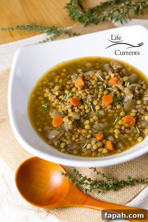 This Lentil Soup is the perfect winter soup Especially if you’re trying to keep new year’s resolutions of eating healthier and losing weight. This Lentil Soup is the perfect winter soup Especially if you’re trying to keep new year’s resolutions of eating healthier and losing weight.