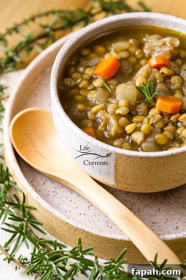 Lentil Soup will help keep you warm and happy inside. Lentil Soup will help keep you warm and happy inside.