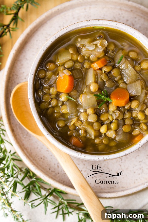 Vegan Gluten free Lentil Soup Recipe Vegan Gluten free Lentil Soup Recipe
