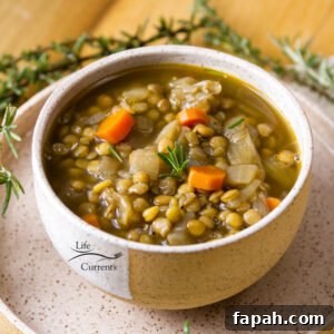 Hearty Lentil Soup Recipe with Simple Ingredients and Tips 2 gluten-free, fiber-rich, vegan Lentil Soup is one of my favorite easy to make soups