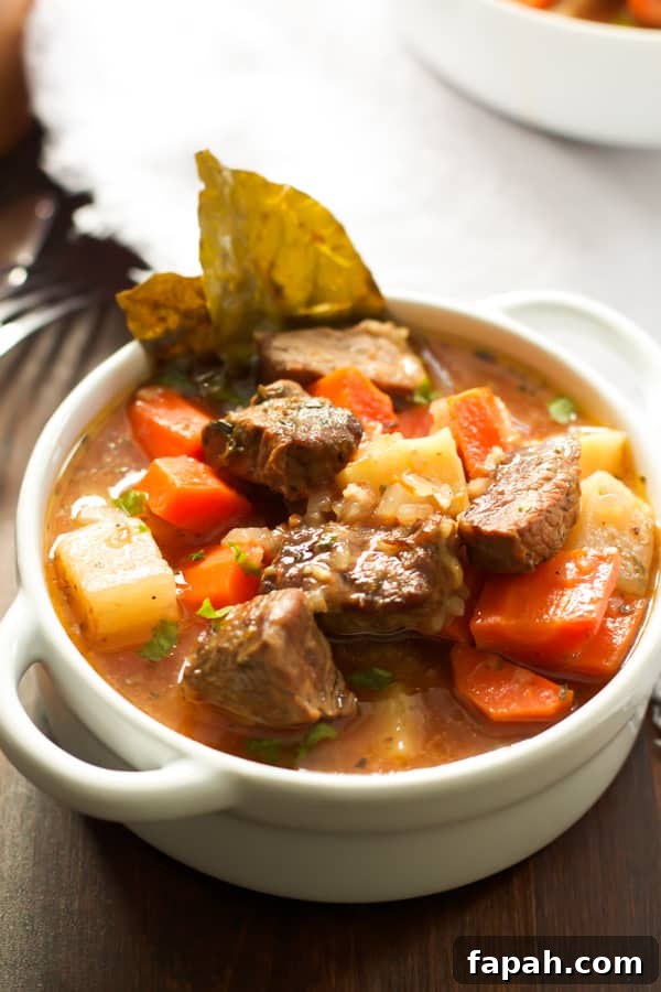 60 Delicious Whole30 Recipes for Every Meal and Snack 60 A bowl of healthier slow cooker beef stew.