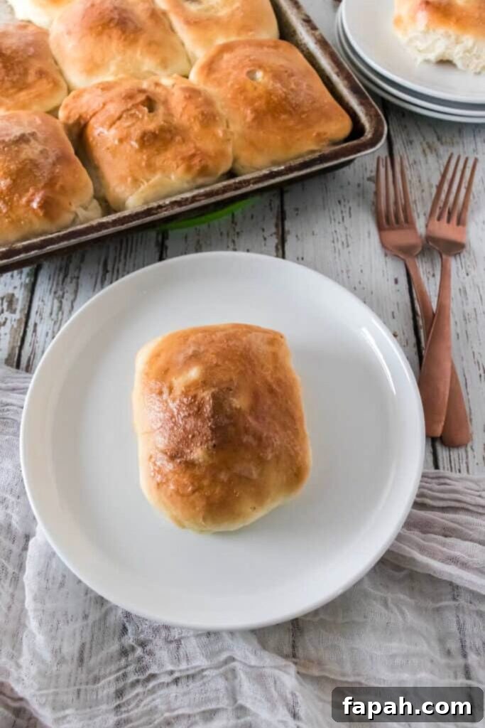 Quick Bierocks Made with Frozen Dinner Rolls: Simple Weeknight Recipe 9 bierock on plate with the pan full of bierocks behind it