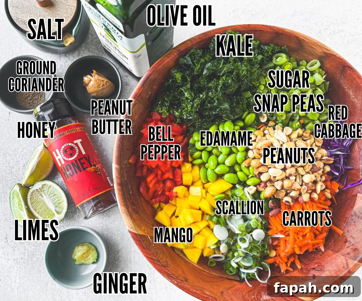 Ingredients for rainbow salad with peanut dressing on a white background.
