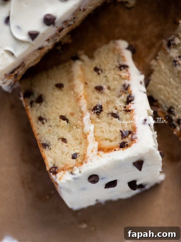 Vanilla Bean Single-Layer Cake Recipe for Moist, Classic Flavor 5 Slice of 2 layer chocolate chip cake