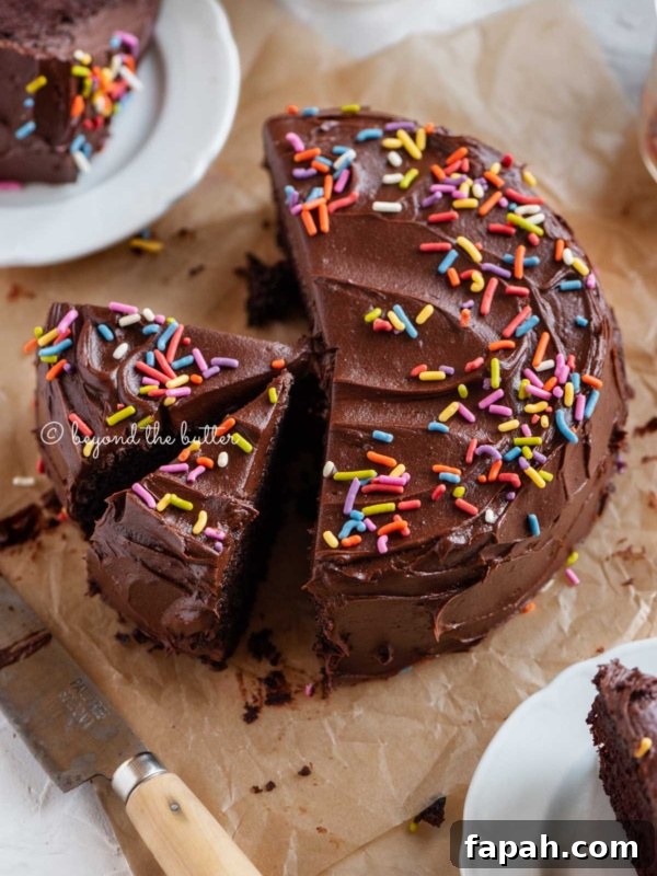 Vanilla Bean Single-Layer Cake Recipe for Moist, Classic Flavor 8 Angled image of sliced single layer chocolate cake