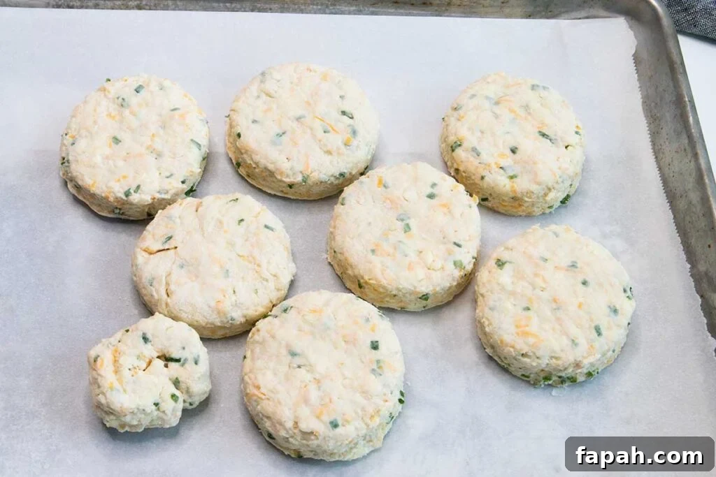 Cut cheddar chive biscuits on a parchment lined baking sheet.