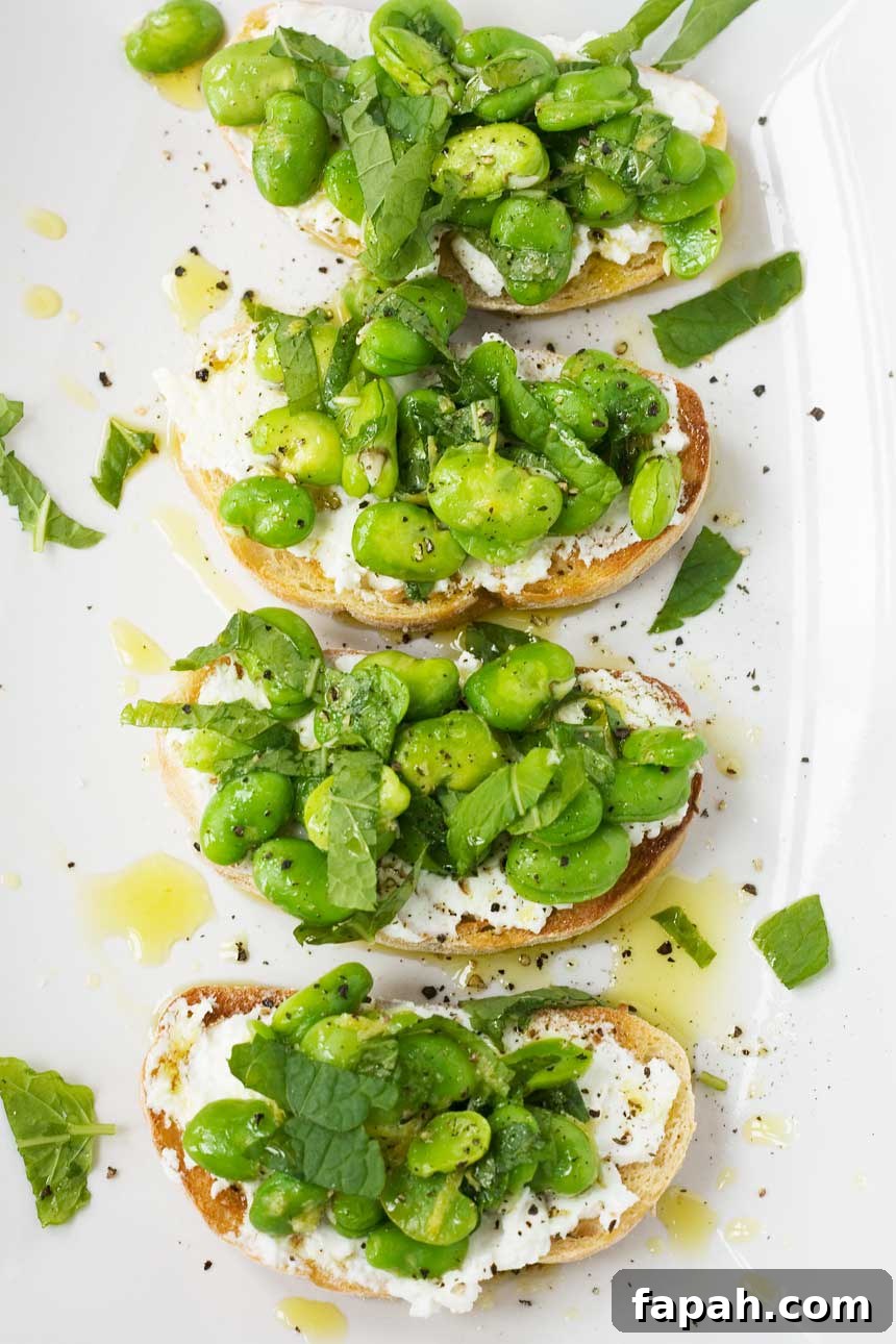 An overhead shot of 4 fava bean, mint and ricotta crostini on a white rectangular plate