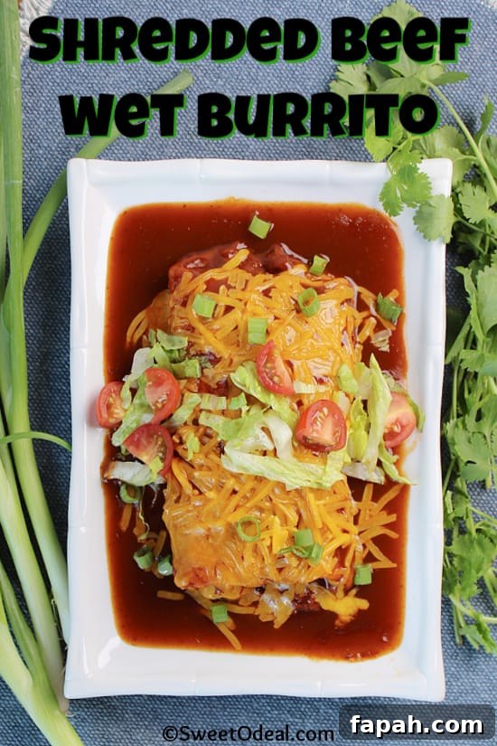 A burrito smothered in melted cheese and red sauce.