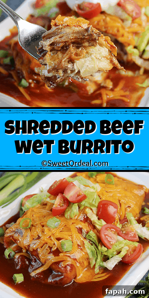 Shredded Beef Wet Burritos