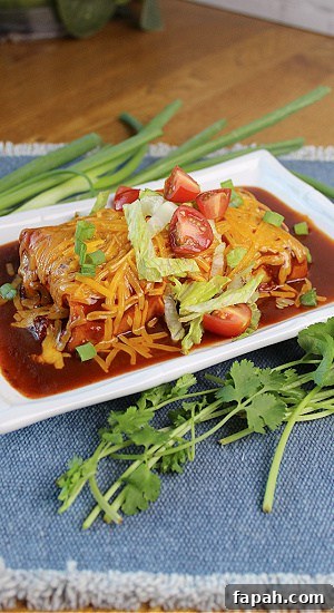Shredded Beef Wet Burritos