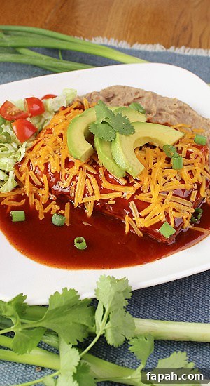 Fresh sliced avocado and cilantro on top of Mexican food. 