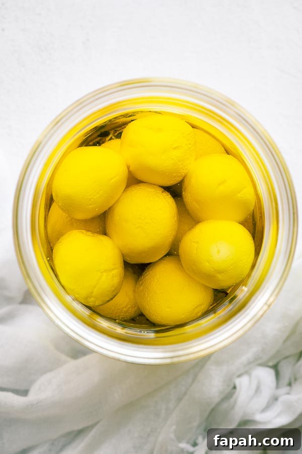 Top down view of labneh balls in olive oil.