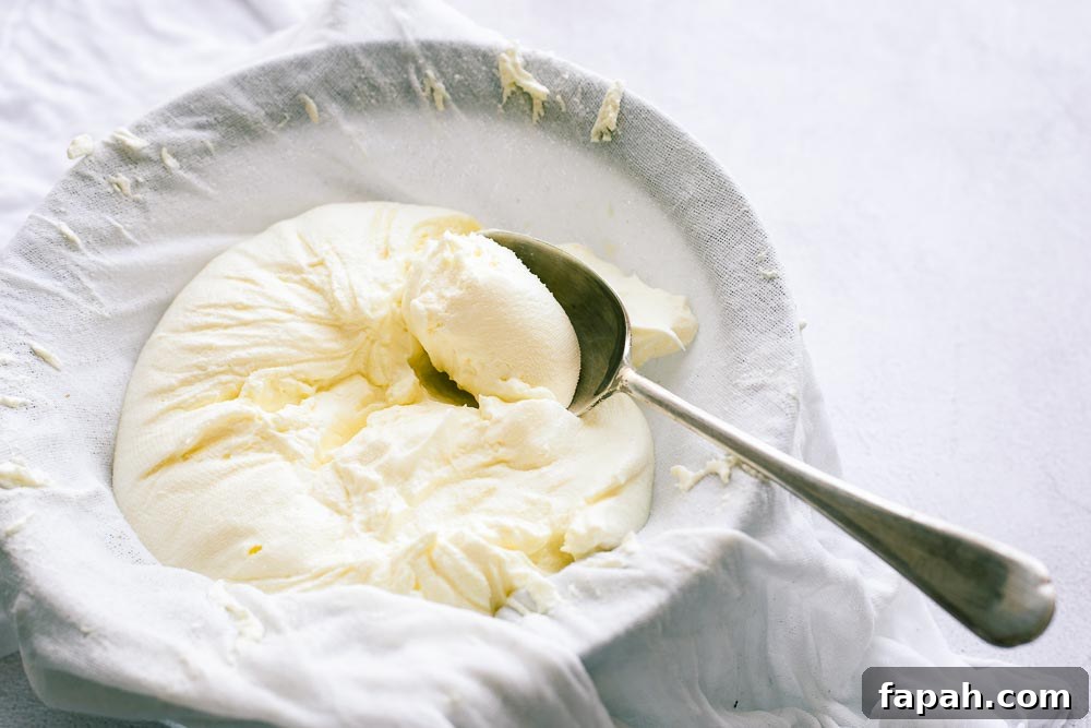Strained yoghurt cheese (or labneh) in a sieve lined with muslin cloth.