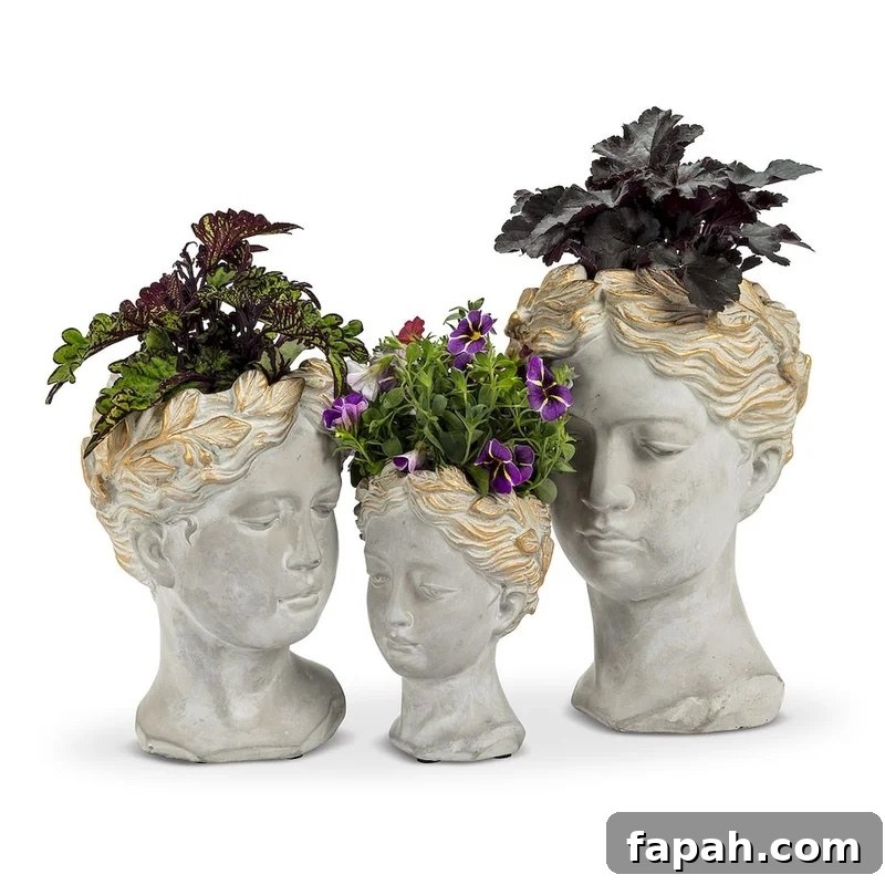 13 Striking Plants to Style Tall Planters with Impact 6 img 33294 5