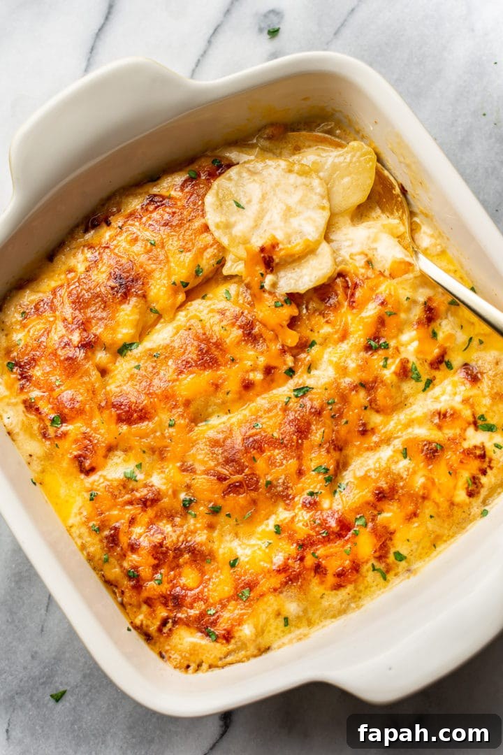 Cajun Scalloped Potatoes Recipe with Spicy Cheesy Gratin 4 Cajun scalloped potatoes in a baking dish (with a spoonful being lifted out)