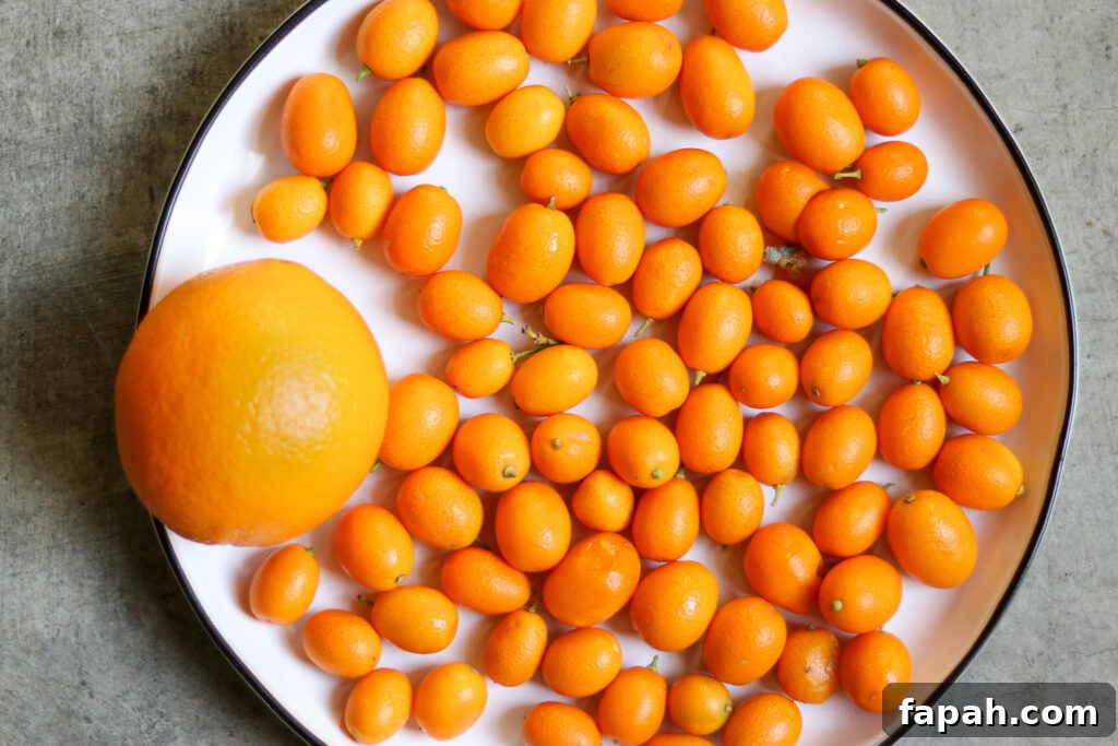 Kumquats for Marmalade