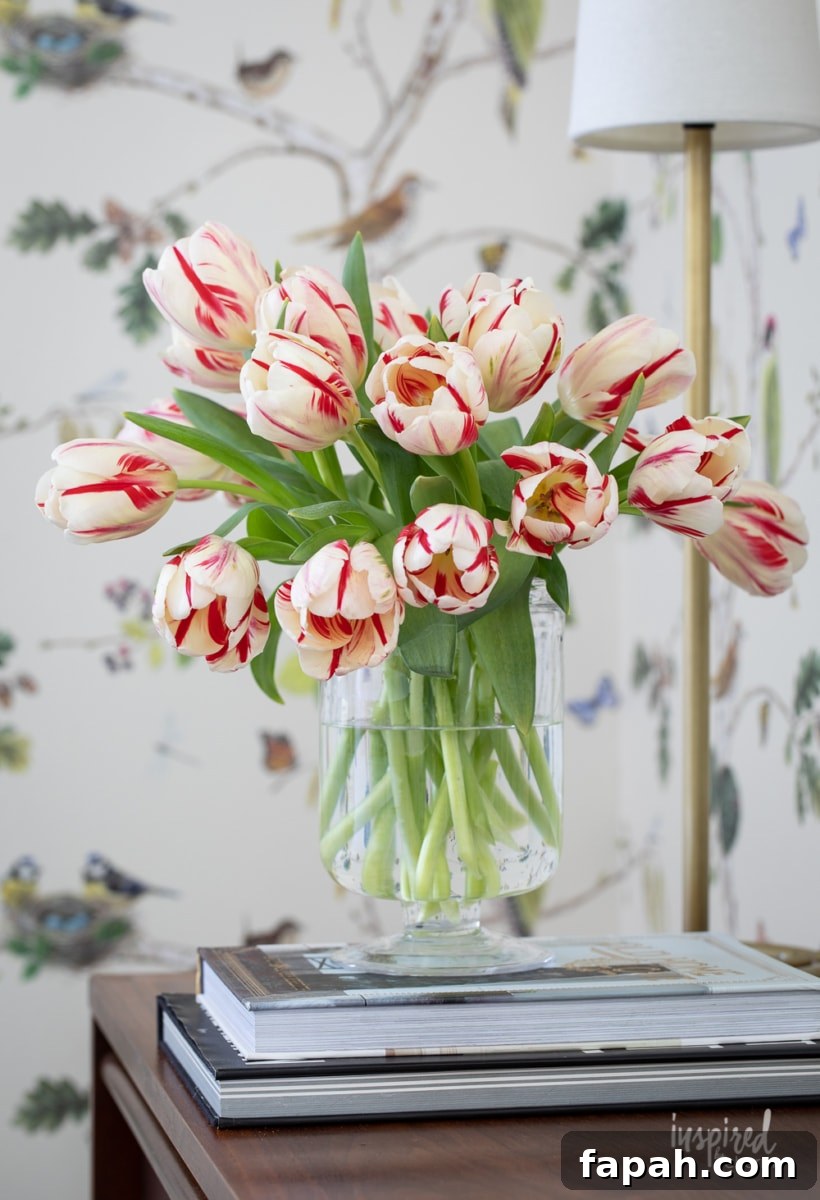 Complete Guide to Flower Arranging: Techniques, Tips & Styles 4 vase of red stripe parrot tulips.