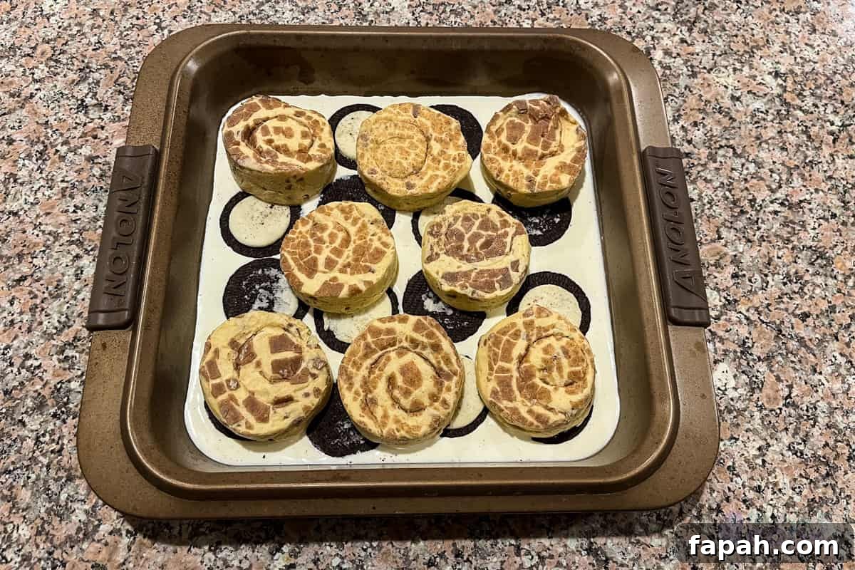 Baking pan with raw cinnamon rolls on top of oreo halves and heavy cream.